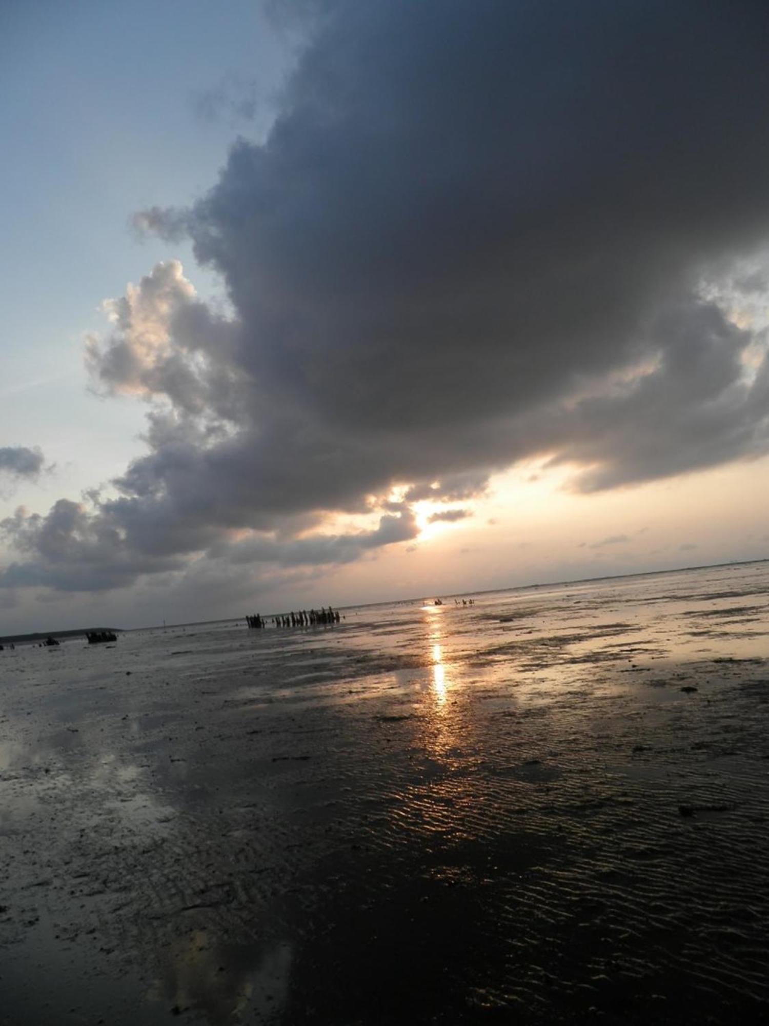 8 Pers House 'Capitein Theis' With Seaside In Front Of The Lauwersmeer Anjum 外观 照片